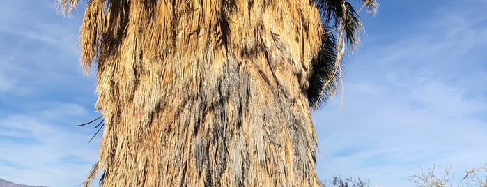 Anza-Borrego Desert State Park Visitor Center is one of Peter'in Beğendiği Mekanlar.