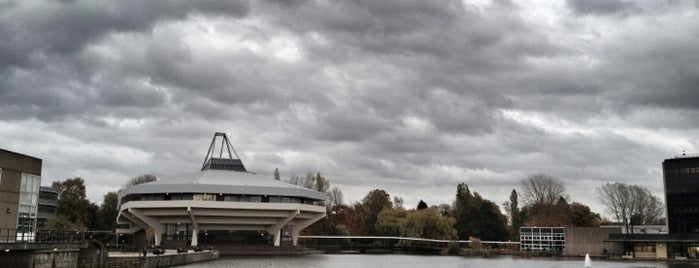 University of York is one of O’s Liked Places.