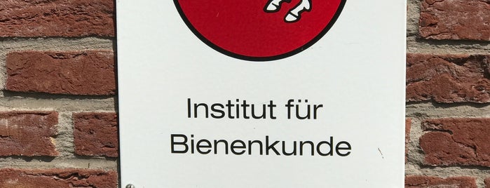 LAVES Institut für Bienenkunde is one of Celle.