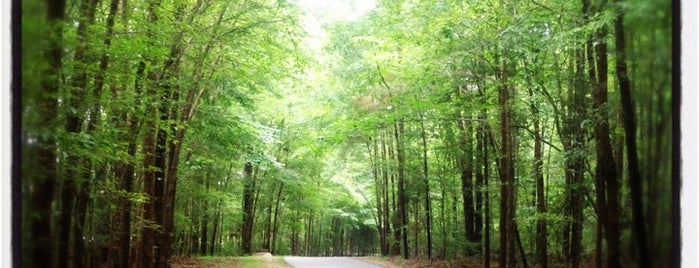 Fred G. Bond Metro Park is one of NC To-do list.