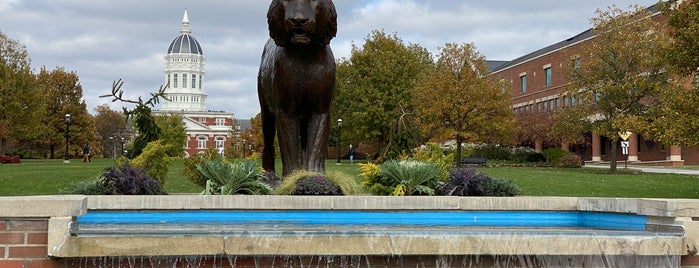 Tiger Plaza is one of Campus.