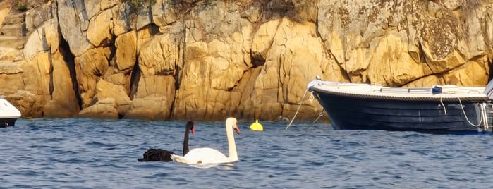 Kanapitsa Beach is one of Skiathos.