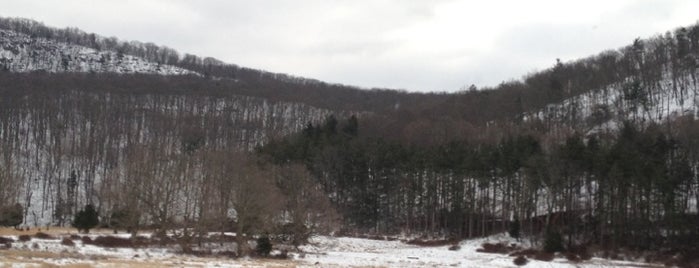 Catskill Mountain is one of Bridget : понравившиеся места.