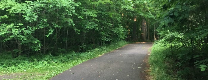 Boardman Park is one of My favorites for Parks.