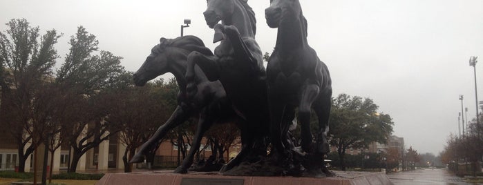 Mustang Plaza and Mall is one of US-TX-SMU.
