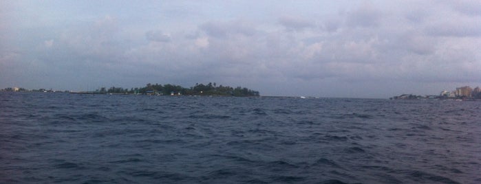 Sea Between Male And Dhoonidhoo is one of others.