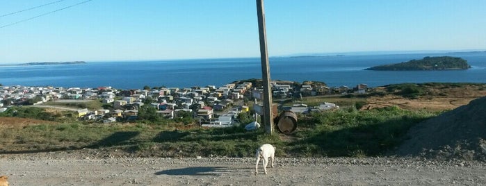 Hostal Cerro Huaihuen is one of CHILOE.