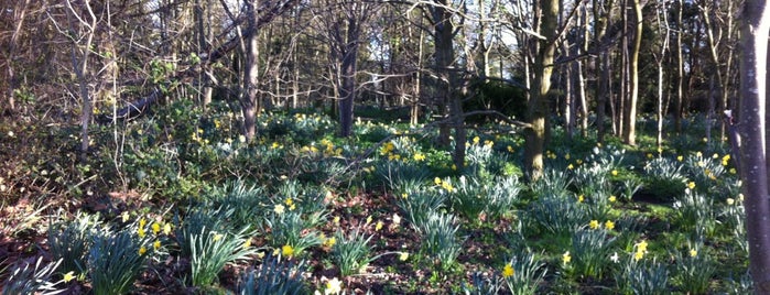 Danson Park is one of Londres a desbravar.