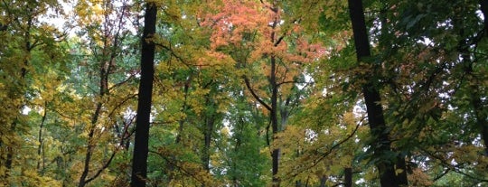 Nichols Arboretum is one of UMich Bucket List.