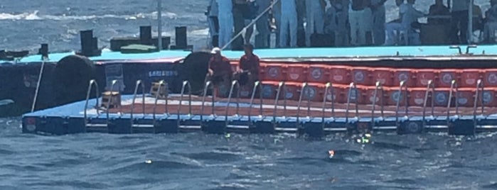 Samsung Boğaziçi Kıtalararası Yüzme Yarışı is one of สถานที่ที่ Mustafa ถูกใจ.