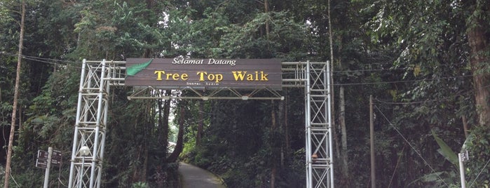 Tree Top Walk Sg Sedim is one of 2014 the beginning.