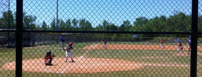 Little League Baseball is one of My Favs.
