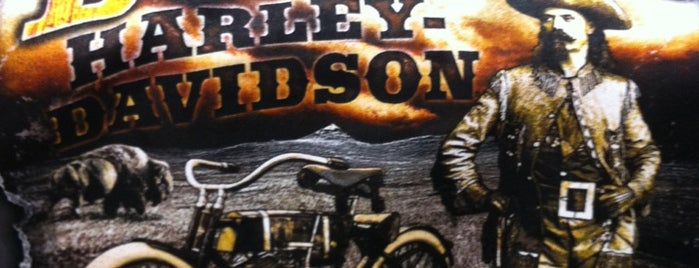 Budke's Harley Davidson is one of Harley-Davidson places.