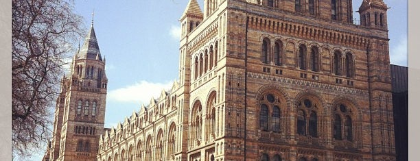 Natural History Museum is one of London.