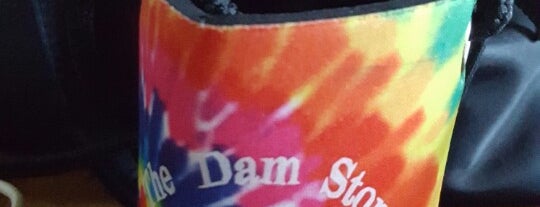 The Dam Store is one of Michigan.