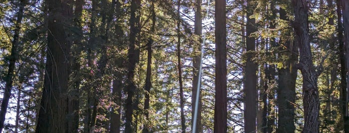 Wunderlich County Park is one of Nnenniqua'nın Beğendiği Mekanlar.