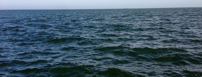 Black Sea is one of Odessa.
