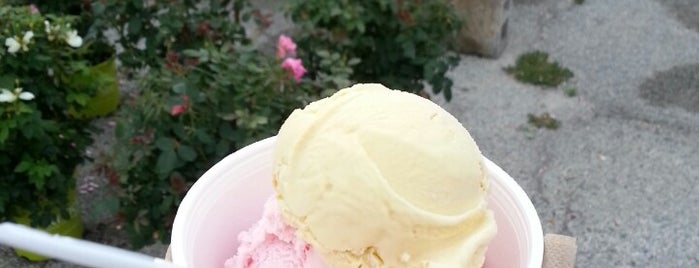 Petrucci's Ice Cream Co is one of Larisaさんのお気に入りスポット.