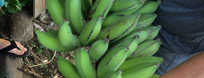 Banana Bungalow is one of Hawaii.