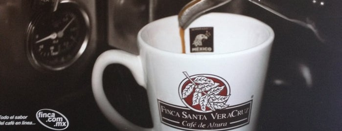 Finca Santa VeraCruz is one of Posti che sono piaciuti a Luis.