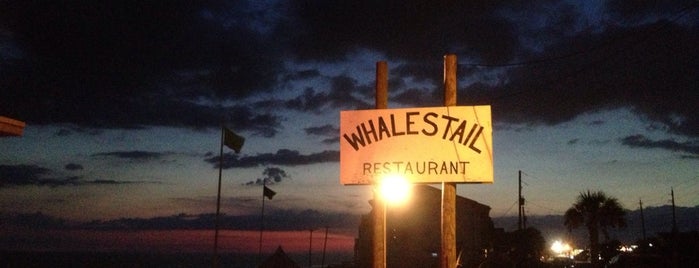 Whales Tail is one of The Best of the North Florida Gulf Coast.