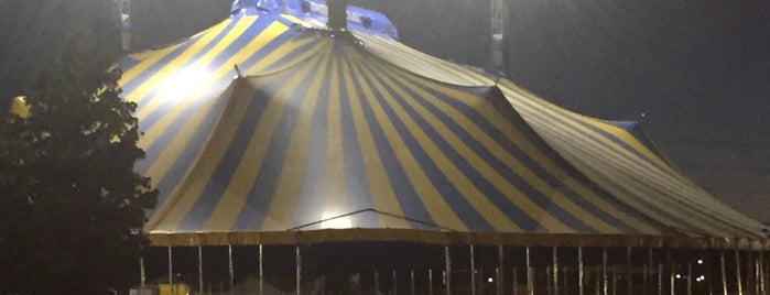 Kurios- Cirque Du Soleil is one of สถานที่ที่ Natalie ถูกใจ.