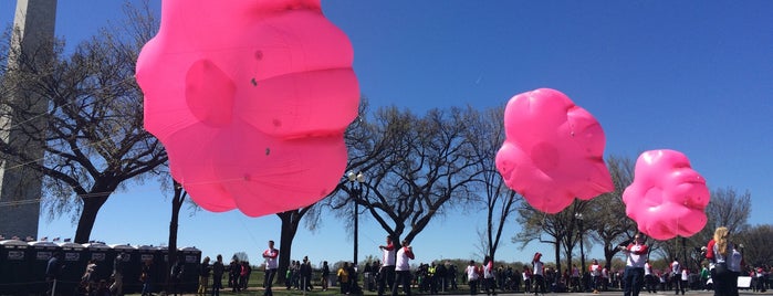 Cherry Bloosom Parade is one of Jen : понравившиеся места.