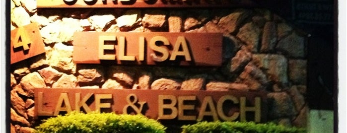 Elisa Lake & Beach is one of Lieux qui ont plu à Felipe.