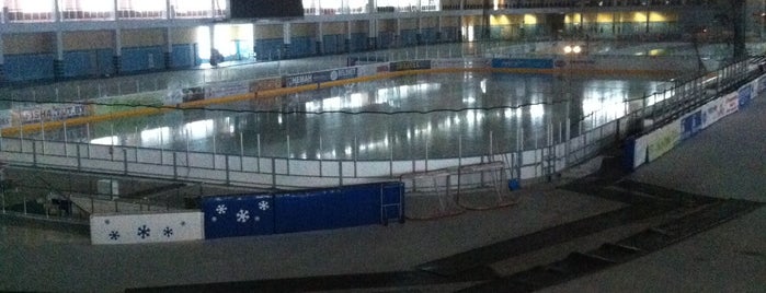 Конькобежный стадион is one of Historical rinks.