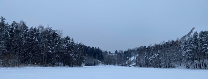 Пионерское озеро (Питкявэйтслампи) is one of Вэйк.