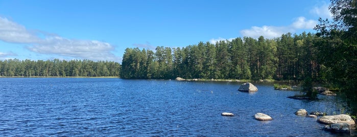 Большое Красноперское озеро is one of озеро.