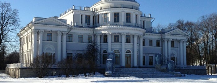 Palacio de Elaguin is one of Дворцы Санкт-Петербурга -Palaces of St. Petersburg.