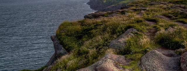 Cape Spear is one of State of the Environment Photo Project.