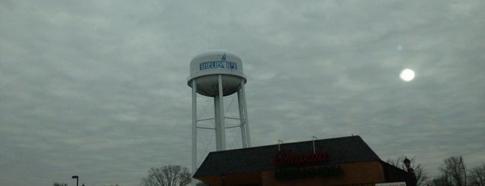 City of Shelbyville is one of Cities of Illinois: Central Edition.