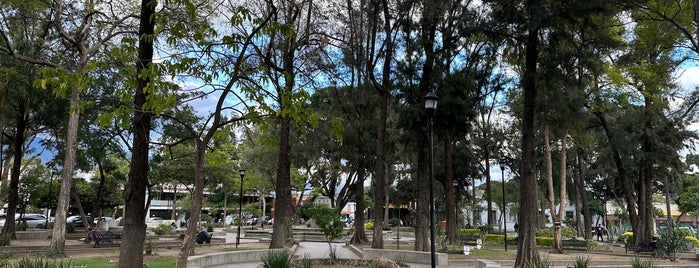 Jardín Conzatti is one of Oaxaca.