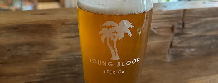 Young Blood Beer Company is one of suds not yet tapped.