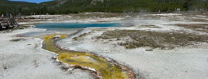 Biscuit Basin is one of WY, USA.