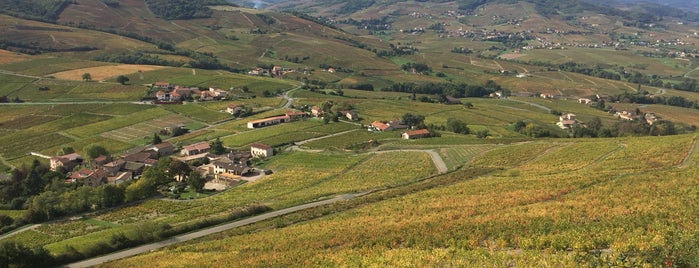 Mont Brouilly is one of Radsport.
