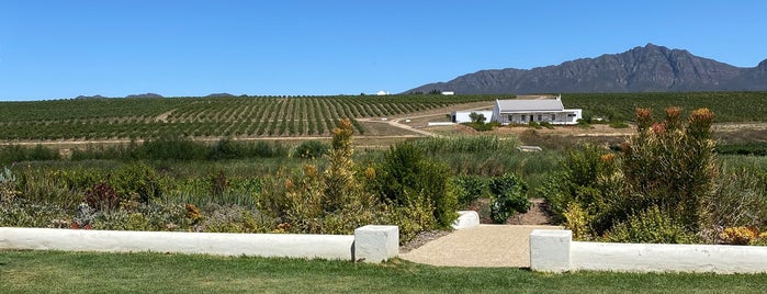 Wine Farms - Visited