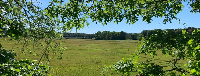 Cranberry Bogs is one of Tempat yang Disukai Brian.