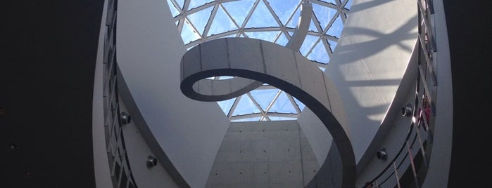 The Dali Museum is one of Top picks for Museums.