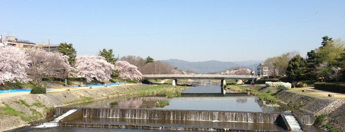 Kamogawa River Delta is one of 京都に旅行したらココに行く！.