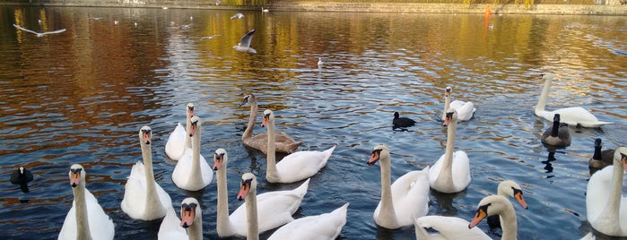 Böcklerpark is one of Posti che sono piaciuti a i.am..