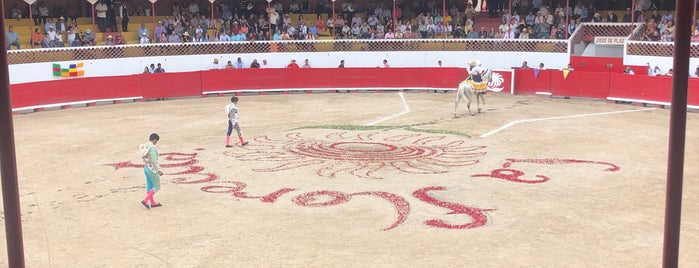 Plaza De Toros La Florecita is one of Locais curtidos por Pablo.