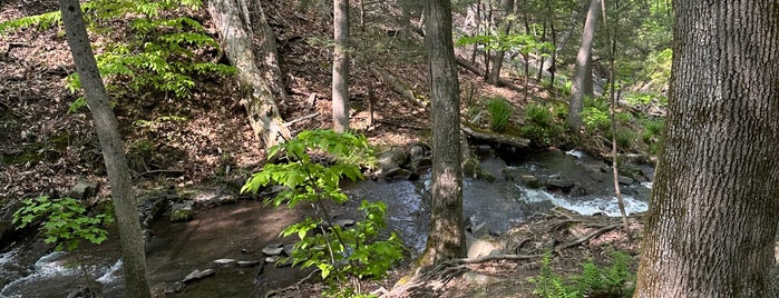 Falling Waters Preserve is one of Ulster County, NY.