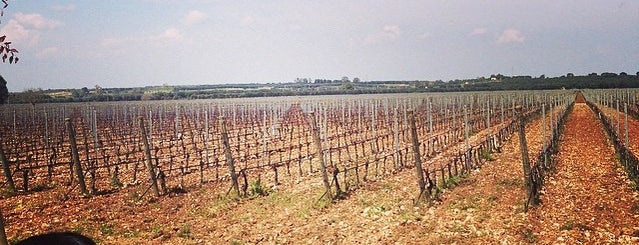 Masseria Altemura is one of Lieux qui ont plu à Emanuele.