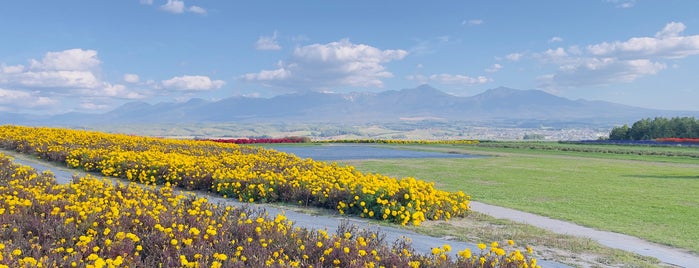 Flower Land Kamifurano is one of Furano Biel.
