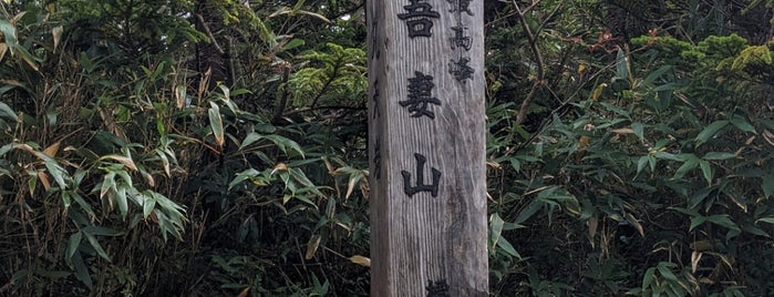 西吾妻山 山頂 is one of 日本の🗻ちゃん(⌒▽⌒).
