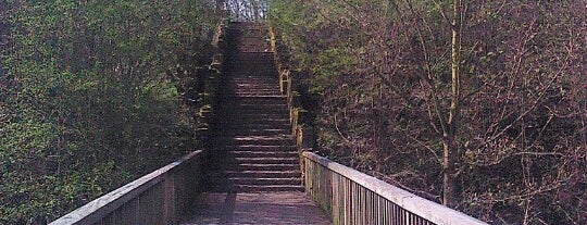 Dearne Valley Park is one of Tempat yang Disukai David.