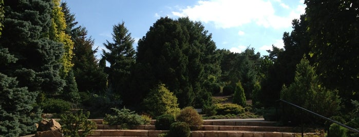Dwarf Conifer Garden is one of Lugares favoritos de William.